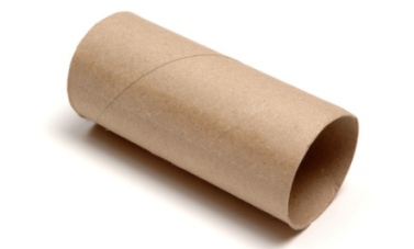 Toilet-paper-roll.jpg
